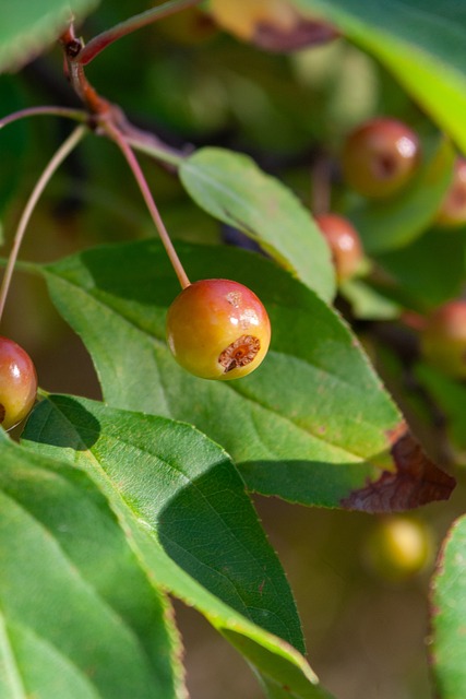 了大量目光 了大量目光