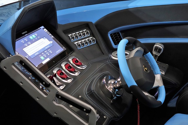 在全运会的 在全运会的