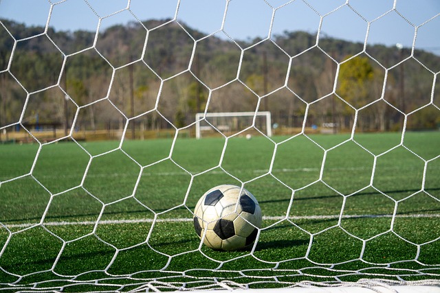 挪威几乎成 挪威几乎成