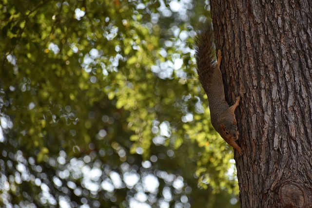 洲杯不僅是 洲杯不僅是