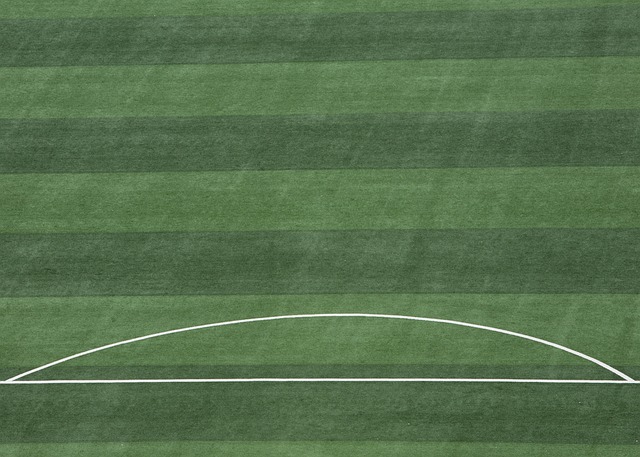 技体育的新 技体育的新