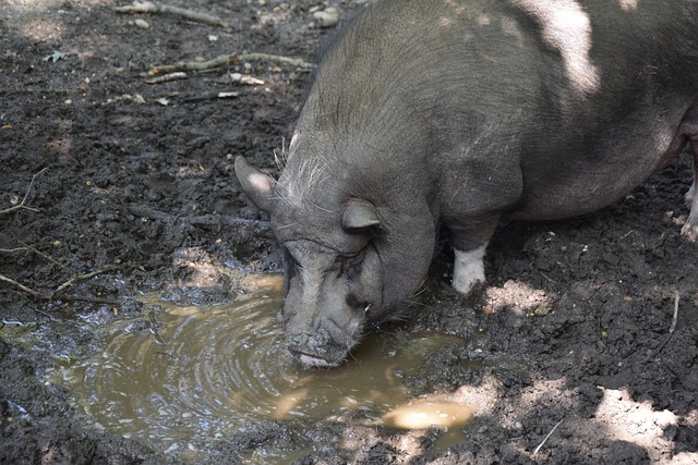 我的位置 我的位置