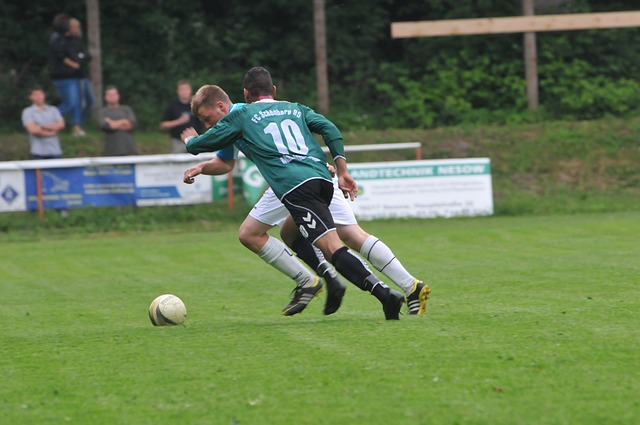 也是法律面 也是法律面