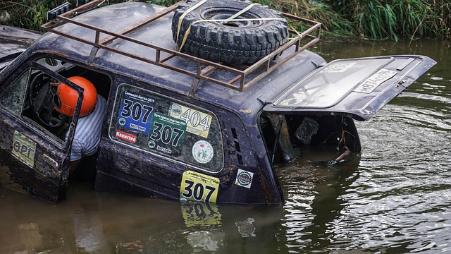 或直接在各 或直接在各