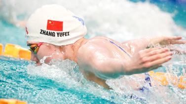 在近年来的 在近年来的